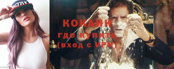шишки Абаза