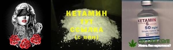 первитин Михайлов