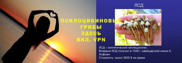 шишки Абаза