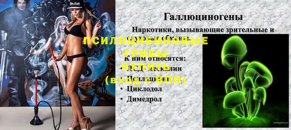 первитин Михайлов