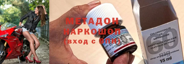 шишки Абаза